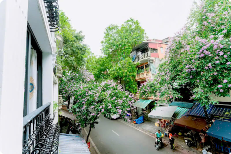 산 방